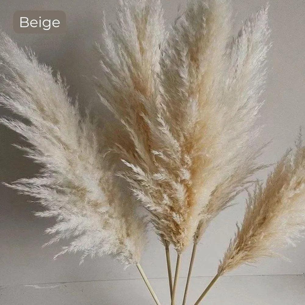 BohoBloom | Natuurlijk gedroogd pampasgrasboeket
