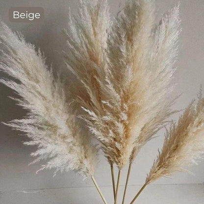 BohoBloom | Natuurlijk gedroogd pampasgrasboeket