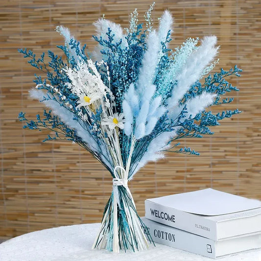 Fluffy Pampasgras | Zacht en elegant accent